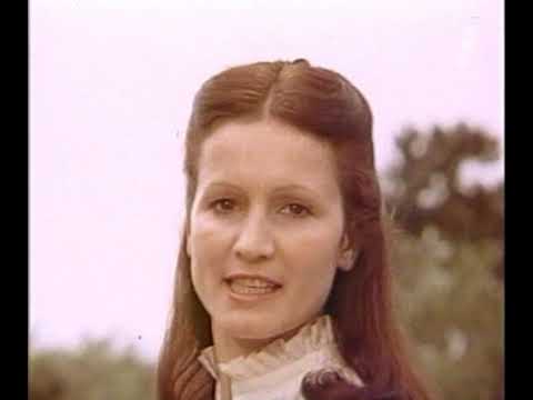 Червона рута: 10 років потому (1981)