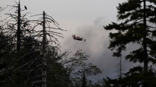 Update on Tantallon-area wildfire | NOVA SCOTIA FIRES