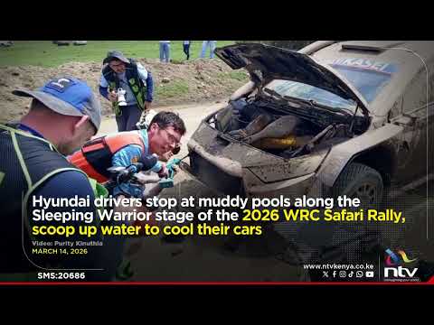 WRC Safari Rally drivers stop at muddy pools, scoop up water to cool their cars
