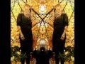 AUSTRA Identity
