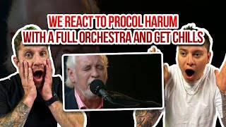 Download lagu Americans First Reaction To Procol Harum - A Whiter Shade of Pale mp3