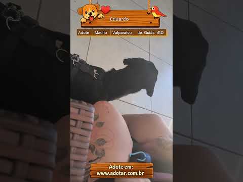 Vídeo de Eduardo