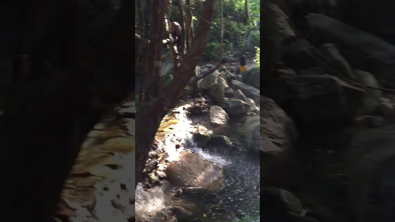 YouTube Short thumbnail