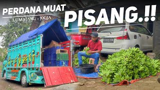 🔴MUATAN KEMANAPUN AKU TAMPUNG..!! Meski truk tua