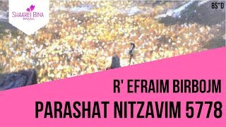 Parashat Nitzavim
