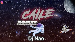 CAILE ( Remix ) Luar La L ft. Tito El Bambino, De La Gheto || Dj Nao