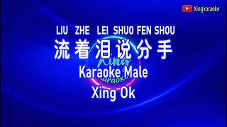Download lagu Tearfully Saying Goodbye (Liu Zhe Lei Shuo Fen Shou) Male Key | Mandarin Karaoke Instrumental mp3