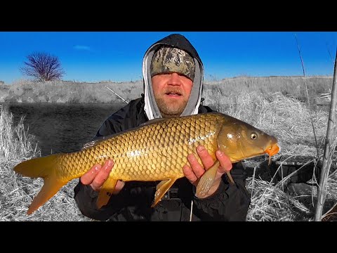 Ice Out Carp Fishing with Bolt Rig (Cold Water)