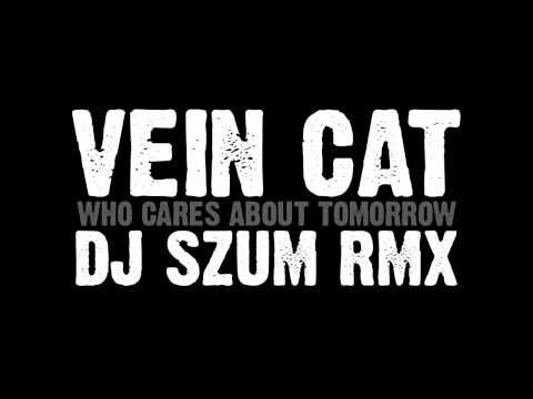 Vein Cat - Who Cares About Tomorrow (Dj SZUm Rmx)