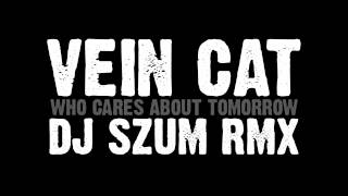 Vein Cat - Who Cares About Tomorrow (Dj SZUm Rmx)