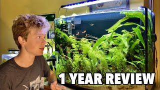 Complete 1 Year Overview Of my 36 Gallon Top Fin Bowfront Aquarium