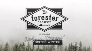 Sufjan Stevens Sister Winter - The Forester Project
