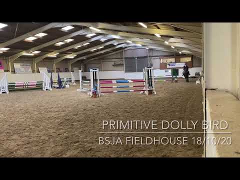 Primitive Dolly bird BS 18/10/20