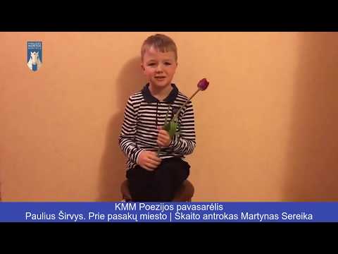 Paulius Širvys. Prie pasakų miesto | Skaito antrokas Martynas Sereika