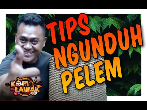 tips-ngunduh-pelem