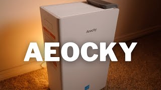 Aeocky Dehumidifier Review | Best Dehumidifier On Amazon?