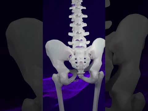 SILO TFX™ #sijointdysfunction #backpain #sijointpain