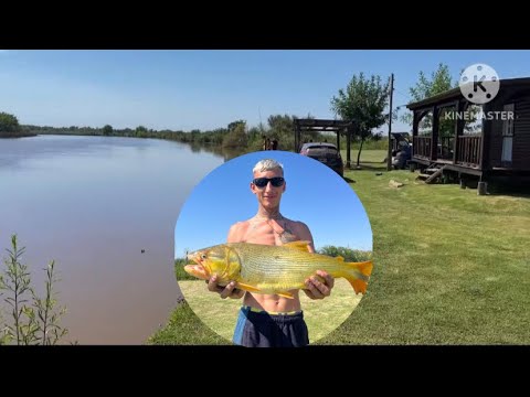 PESCA EN ALSINA BARADERO 🙌🏻🎣