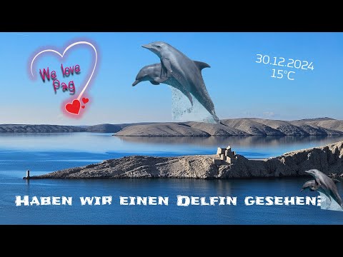 Highlight Insel PAG #wohnmobil #56 #kroatien #pag #delfin #highlights #hymer #travel #urlaub