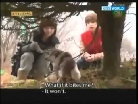 SHINEE Minho, Simon D and MISS A Min feeding a dog