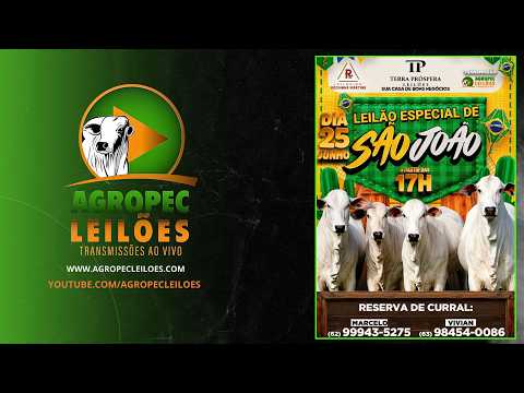 Agropecleiloes.com - LEILÃO ESPECIAL DE SÃO JOÃO | TERRA PRÓSPERA LEILÕES-ALVORADA-TO 25/06/2026