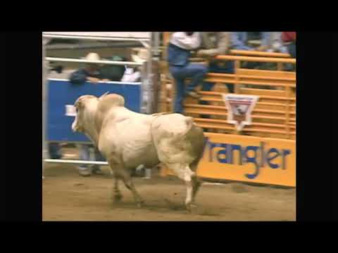 David Fournier vs Honker II - 98 PBR Reno (85.5 pts)