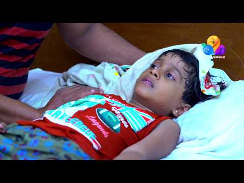 Arundhathi | അരുന്ധതി | Flowers | Ep# 152