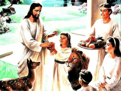 Ruben Diaconu – CĂTRE CER