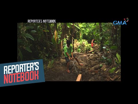 Ilang kabataan sa Leyte, pagtotroso ang naging hanapbuhay Reporter’s Notebook