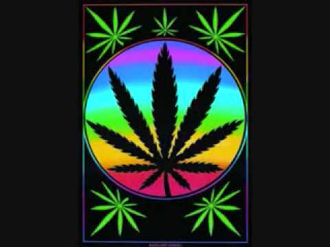 Kid Cudi ft Collie Buddz Day N Nite Remix