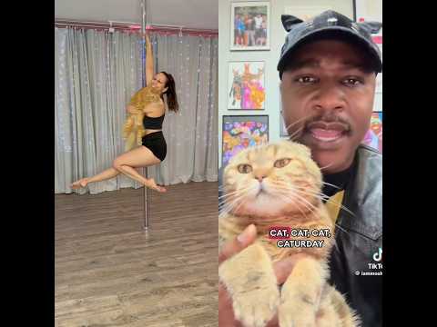Caturday Pole Dance Cat Martini Spin with Jacqueline Valdez