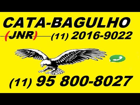 coleta  DE GESSO  Jardim São Manoel - 11 95 800-8027