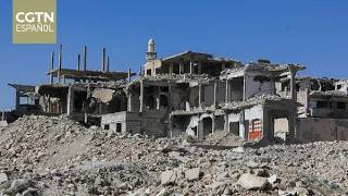 El Consejo de Seguridad de la ONU aborda la situación en Siria y pide un mayor apoyo