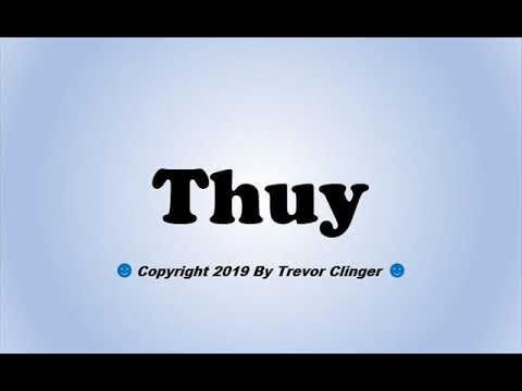 How To Pronounce Thuy