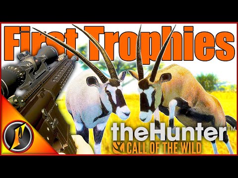 It's Working! | Our First Trophies of the Gemsbok Grind! | theHunter Call of the Wild