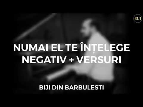 Negativ - NUMAI EL TE INTELEGE ( Original Biji )
