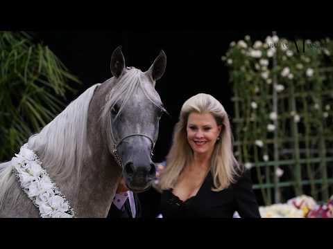 LAS VEGAS 2017 | ARABIAN INSIDER | #EPISODE 01