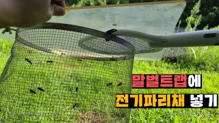 전기파리채 말벌 트랩에 넣어져 조지워싱턴(번외. 장수말벌X전기파리채)