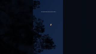 Download lagu This ringtone literally takes me back to 2018💔.Mahir & Bela🥀2018.Naagin 3.#naagin3 #behir #tone mp3