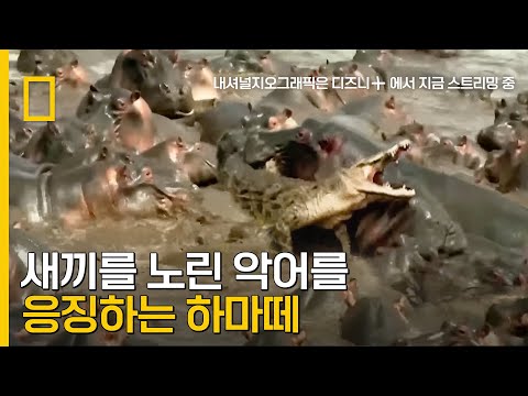 아이콘