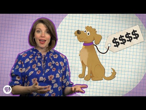 What’s the Real Cost of Owning A Pet?
