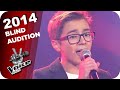 Carly Rae Jepson Good Time Noah The Voice Kids 2014 Blind Auditions SAT 1
