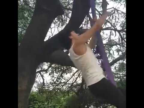 Egipcia para Aerials