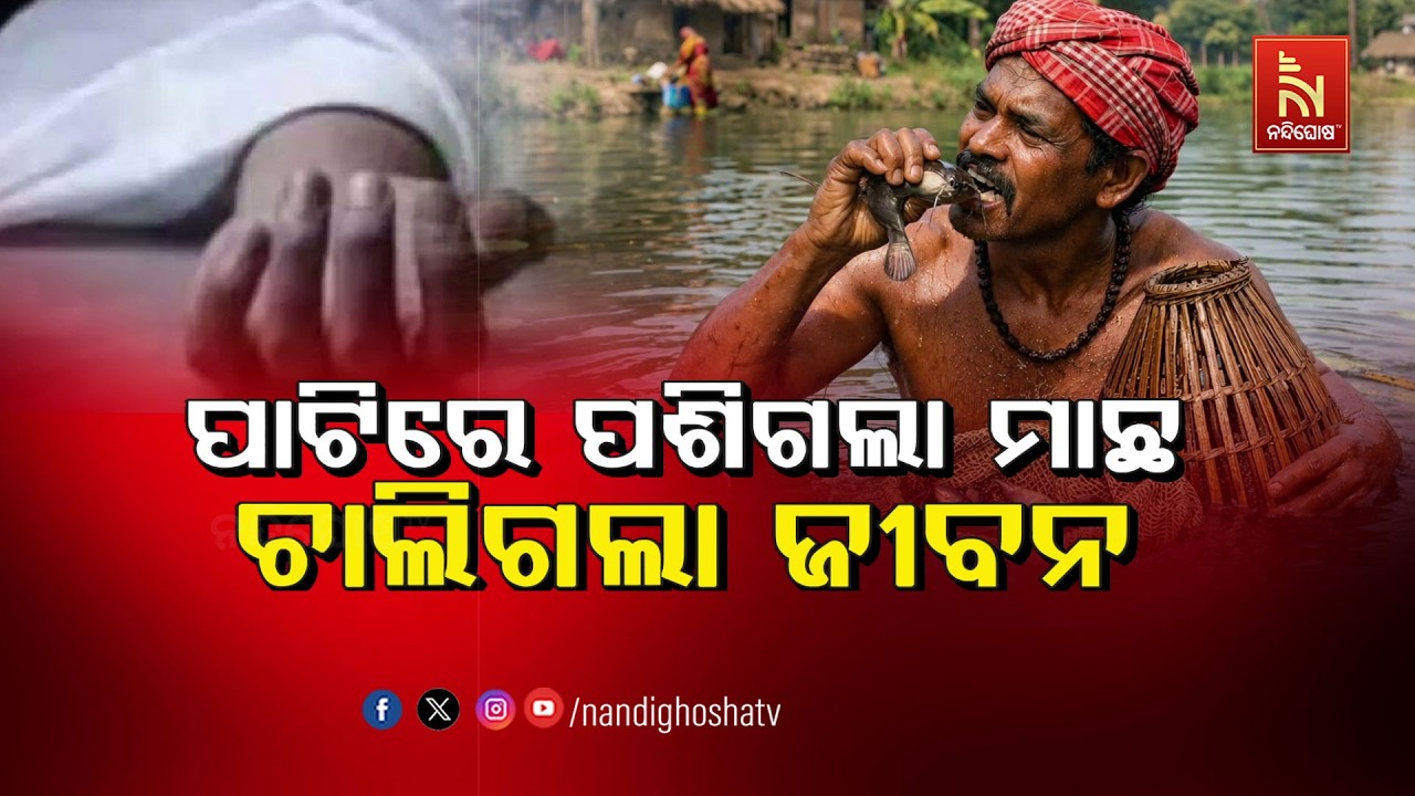 🔴Live | ପାଟିରେ ପଶିଗଲା ମାଛ, ଚାଲିଗଲା ଜୀବନ