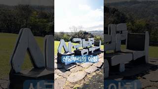 아침 9시 개장과 동시에..관광객 몰리기전에 나와야!! #제주여행 #산굼부리 #천연기념물 #가을억새