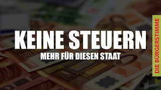 Financování státu pozastaveno: Podnikatel Steffen mluví o svém nekonvenčním přístupu k tomu, že přestane platit daně.