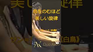 Download lagu 【美しすぎる名曲】サン＝サーンス《白鳥》をピアノ連弾で🦢🎹 #shorts mp3
