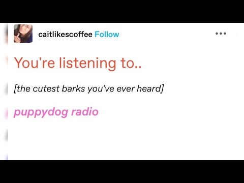 PUPPYDOG RADIO