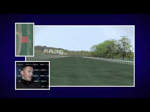 Frankie Dettori's Flyover of the Weatherbys Insurance Lonsdale Cup