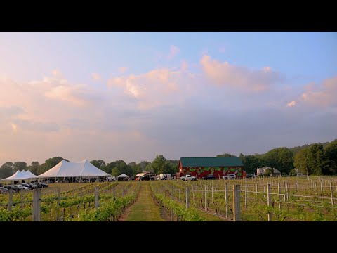 Tacos & Tequila Night @ Rosedale